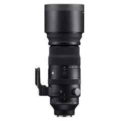 Collection image for: Sigma