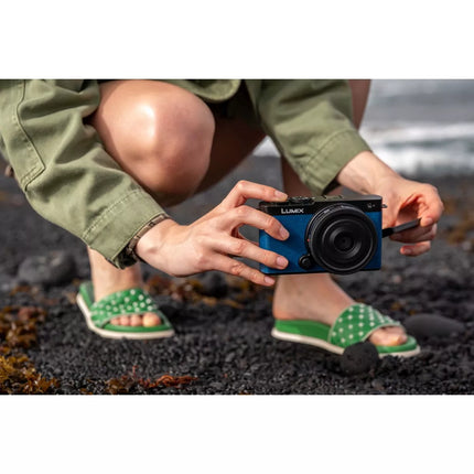 Panasonic Lumix DC-S9 (Black) Body